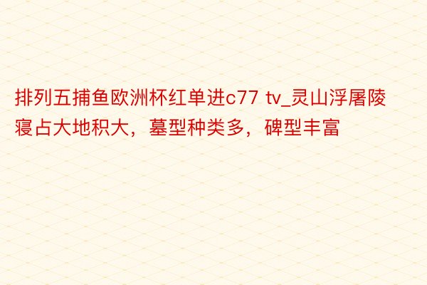 排列五捕鱼欧洲杯红单进c77 tv_灵山浮屠陵寝占大地积大，墓型种类多，碑型丰富