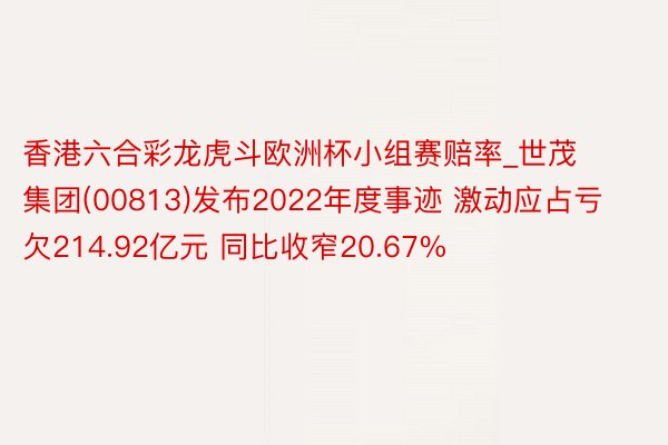 香港六合彩龙虎斗欧洲杯小组赛赔率_世茂集团(00813)发布2022年度事迹 激动应占亏欠214.92亿元 同比收窄20.67%