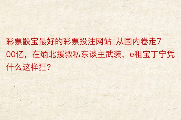 彩票骰宝最好的彩票投注网站_从国内卷走700亿，在缅北援救私东谈主武装，e租宝丁宁凭什么这样狂？