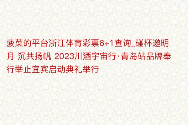 菠菜的平台浙江体育彩票6+1查询_碰杯邀明月 沉共扬帆 2023川酒宇宙行·青岛站品牌奉行举止宜宾启动典礼举行